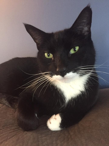 5f0b1082a22ca811aa3aeff7